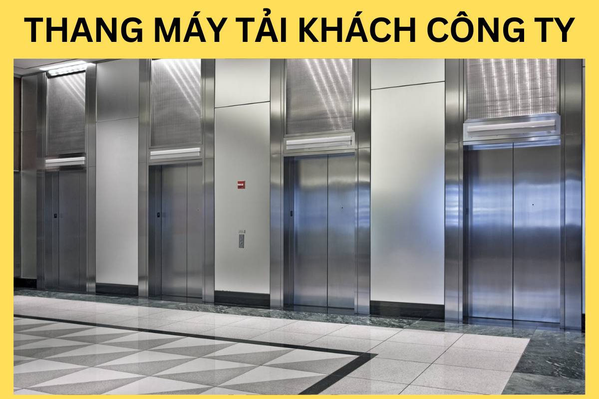 Thang Máy Cho Công Ty Thang Máy Cho Công Ty